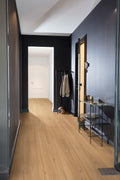 Modern hallway with wooden floor, dark blue walls, and a coat rack.