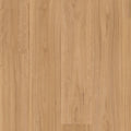 Majestic - Blackbutt