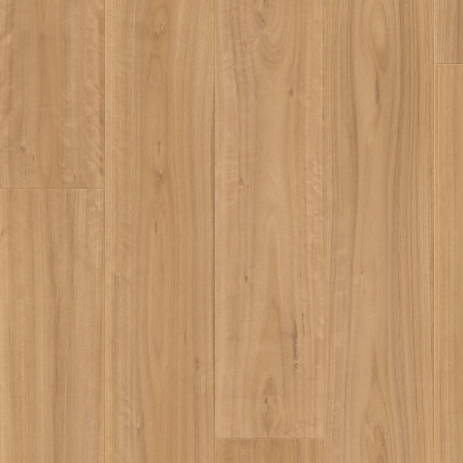 Majestic - Blackbutt