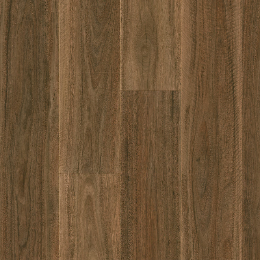 Majestic - Spotted Gum
