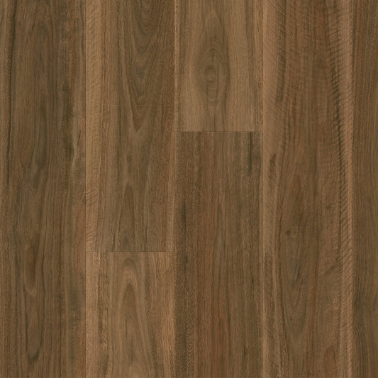 Majestic - Spotted Gum