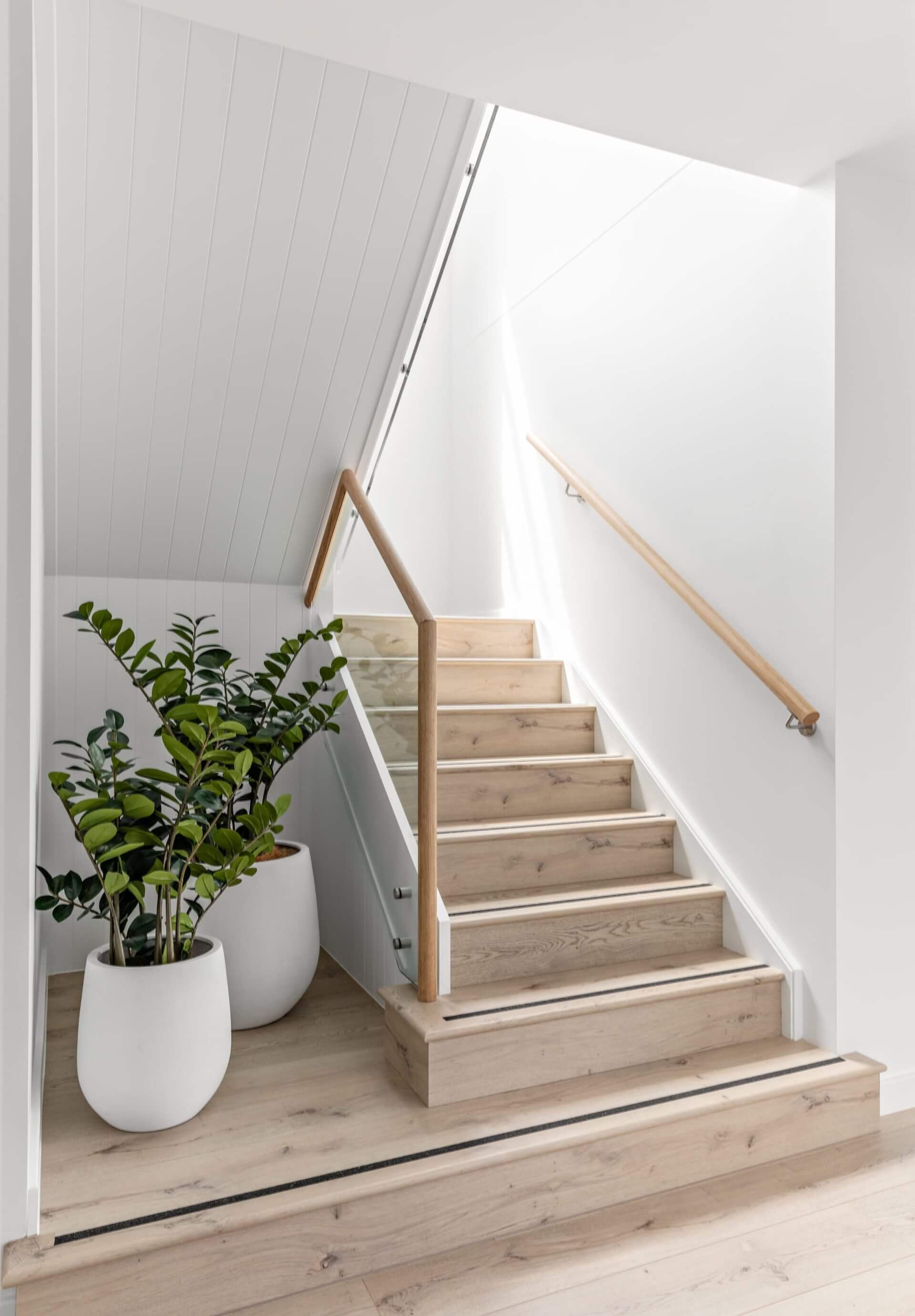 Wooden staircase with white walls and a plant in a pot.