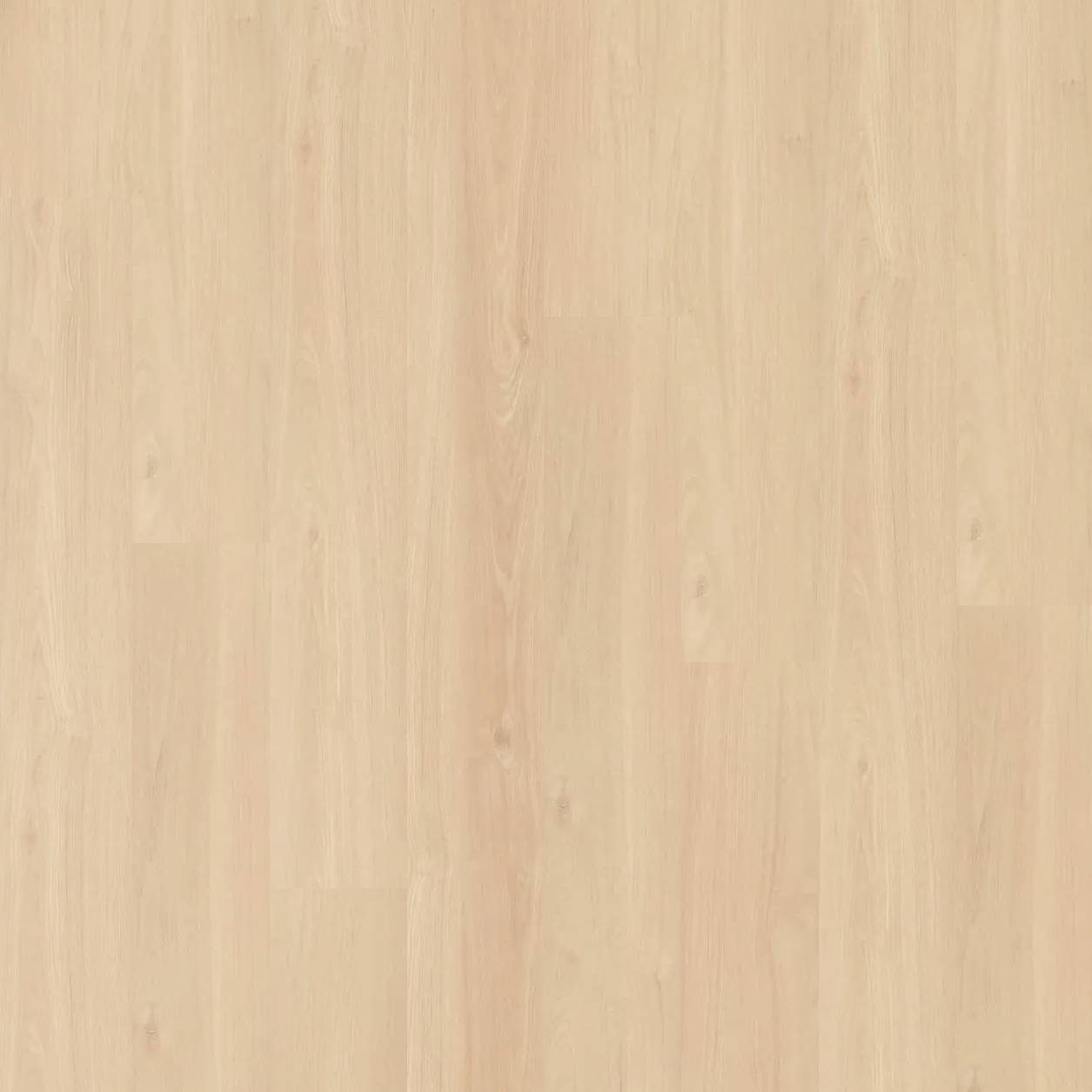 Metropol Oak Hybrid - Bruny Oak