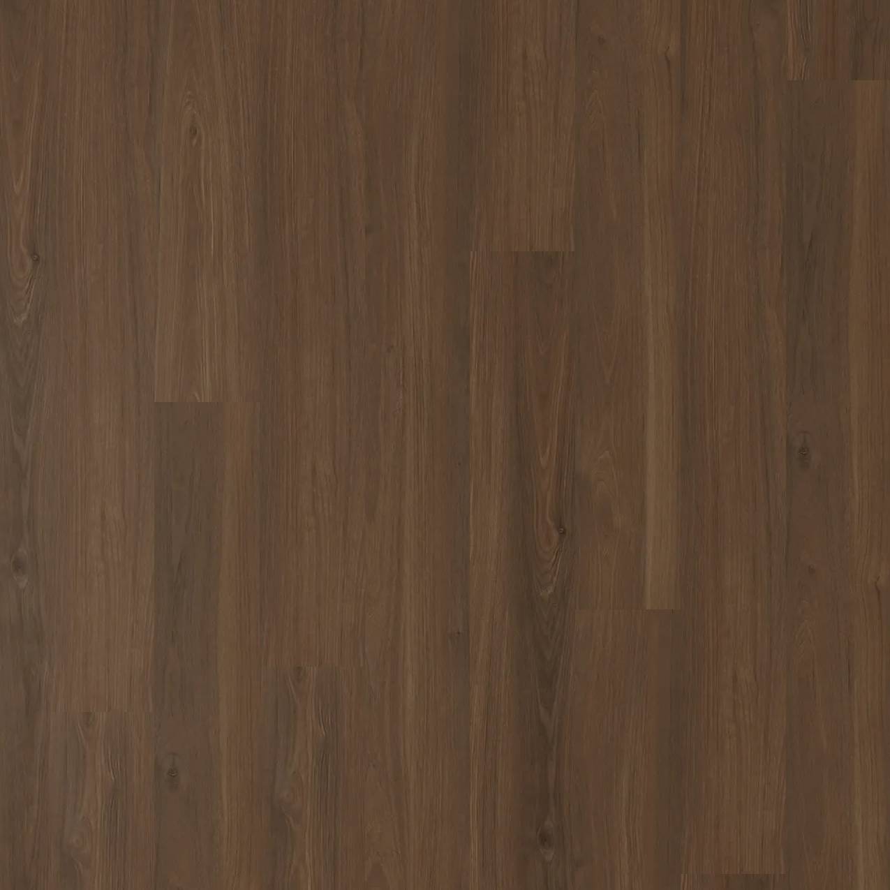 Metropol Oak Hybrid - Goolwa Oak
