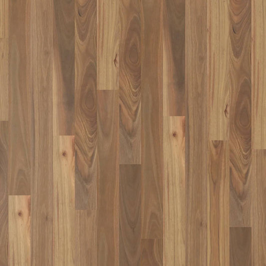 Modern Coastal - Spotted Gum