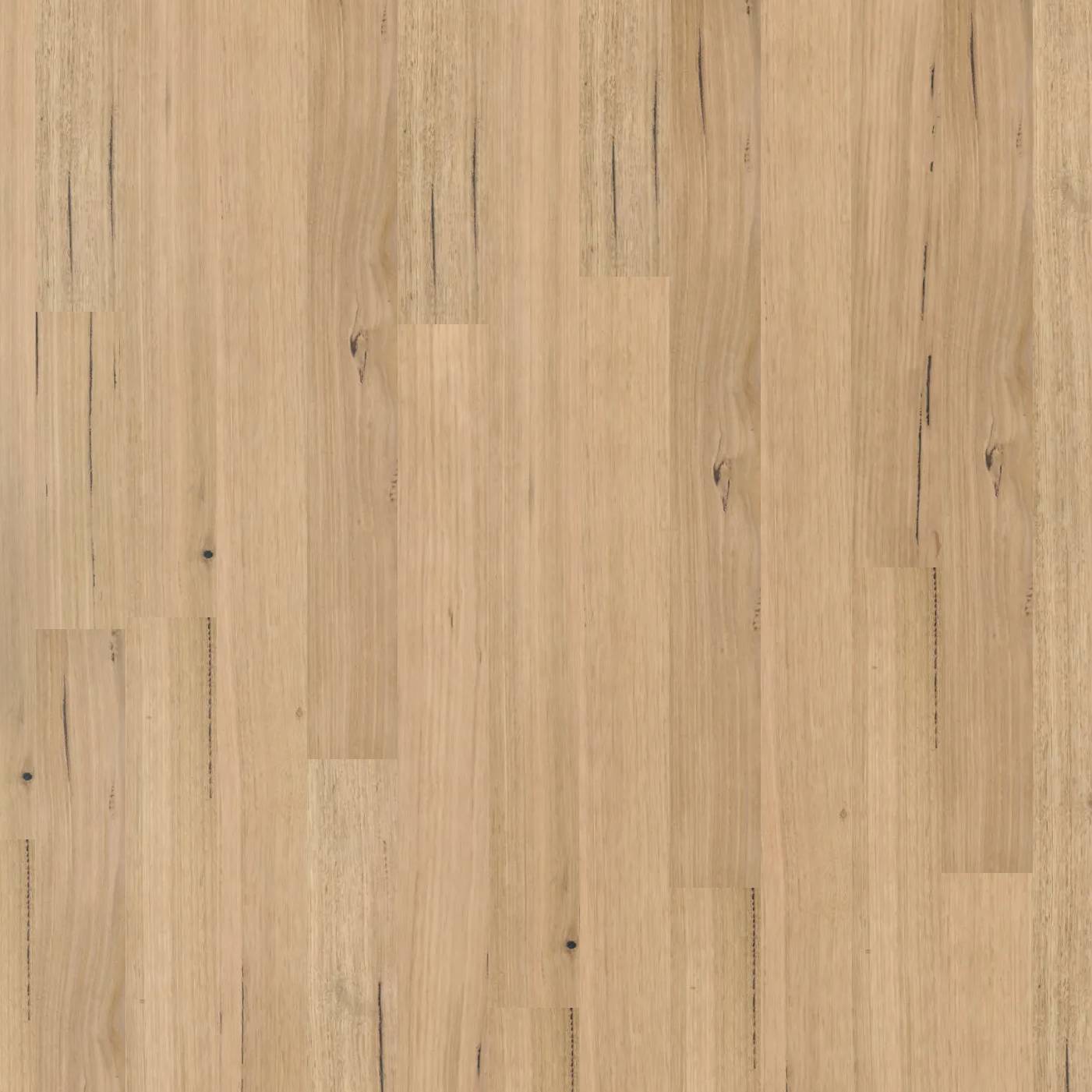 Modern Coastal - Tassie Oak