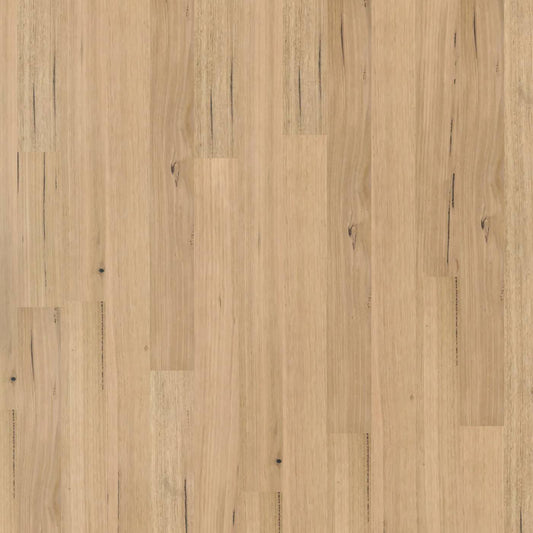 Modern Coastal - Tassie Oak