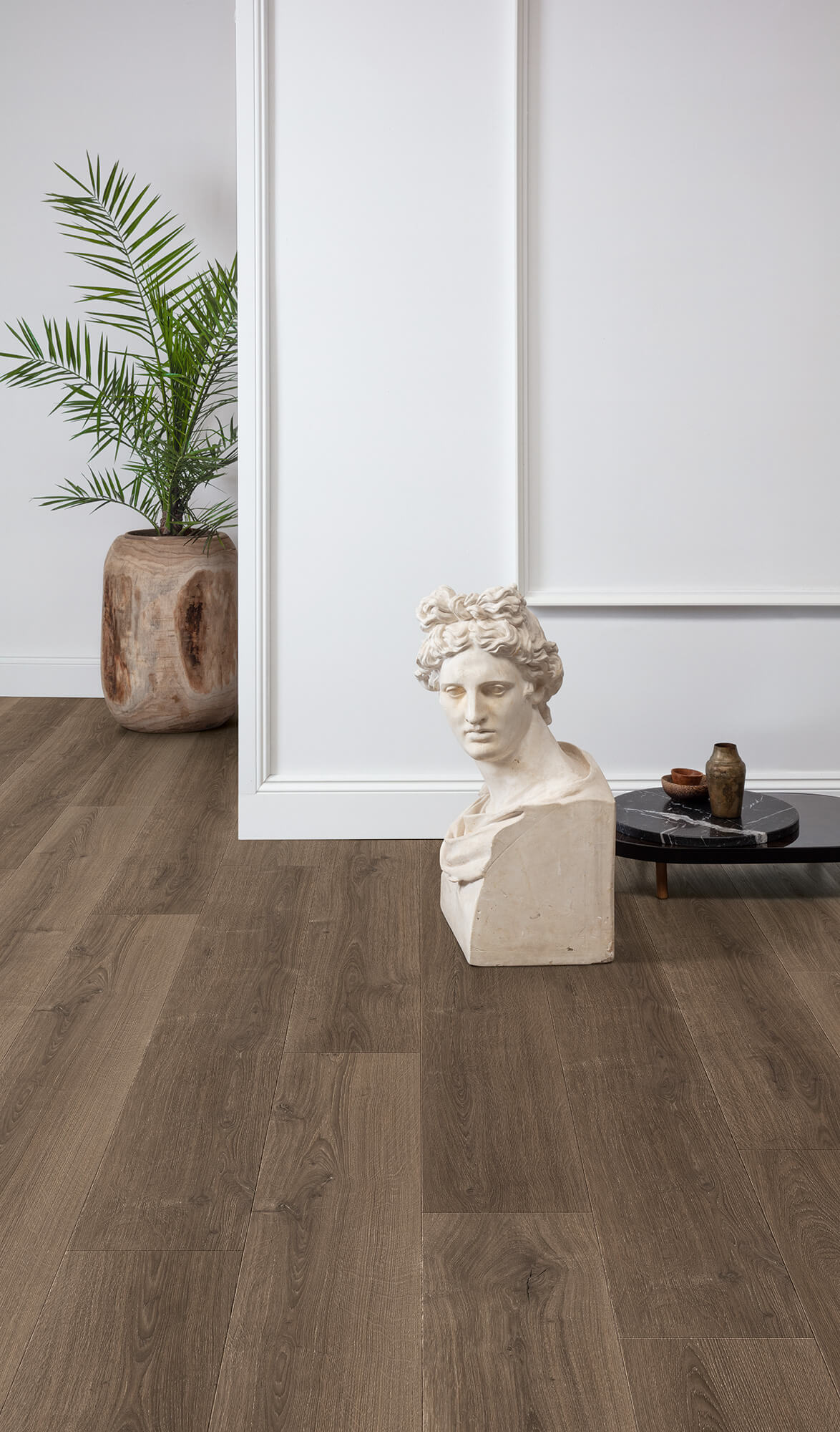 Wooden flooring with a classical statue and plant in a room setting