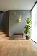 Modern interior with a wooden bench, plant, and deer head mount on a wall.
