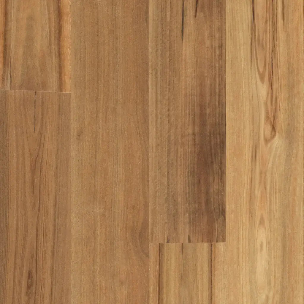 Hardwood Plus - Spotted Gum Matt Brushed Wide - 2100mm