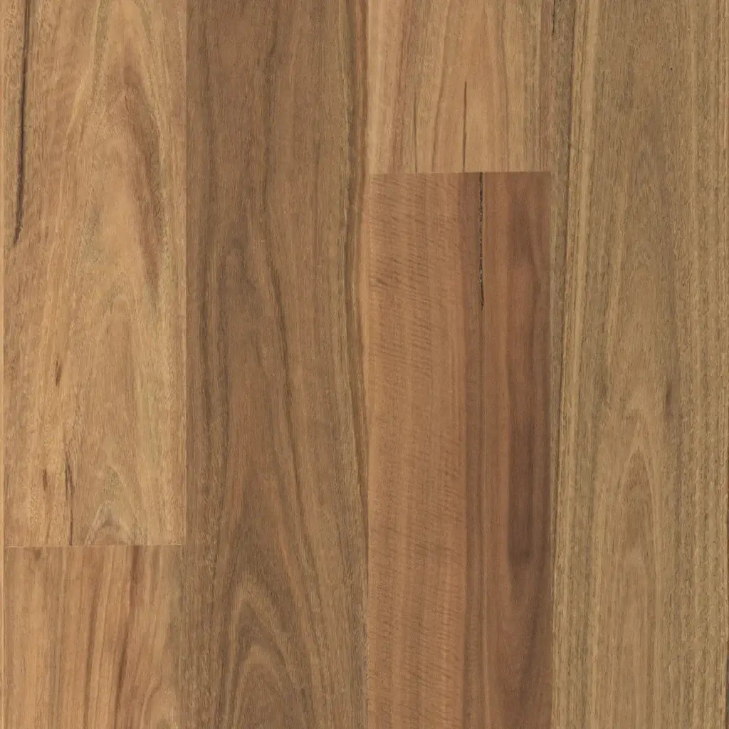 Hardwood Plus - Spotted Gum Matt Smooth - 1820mm