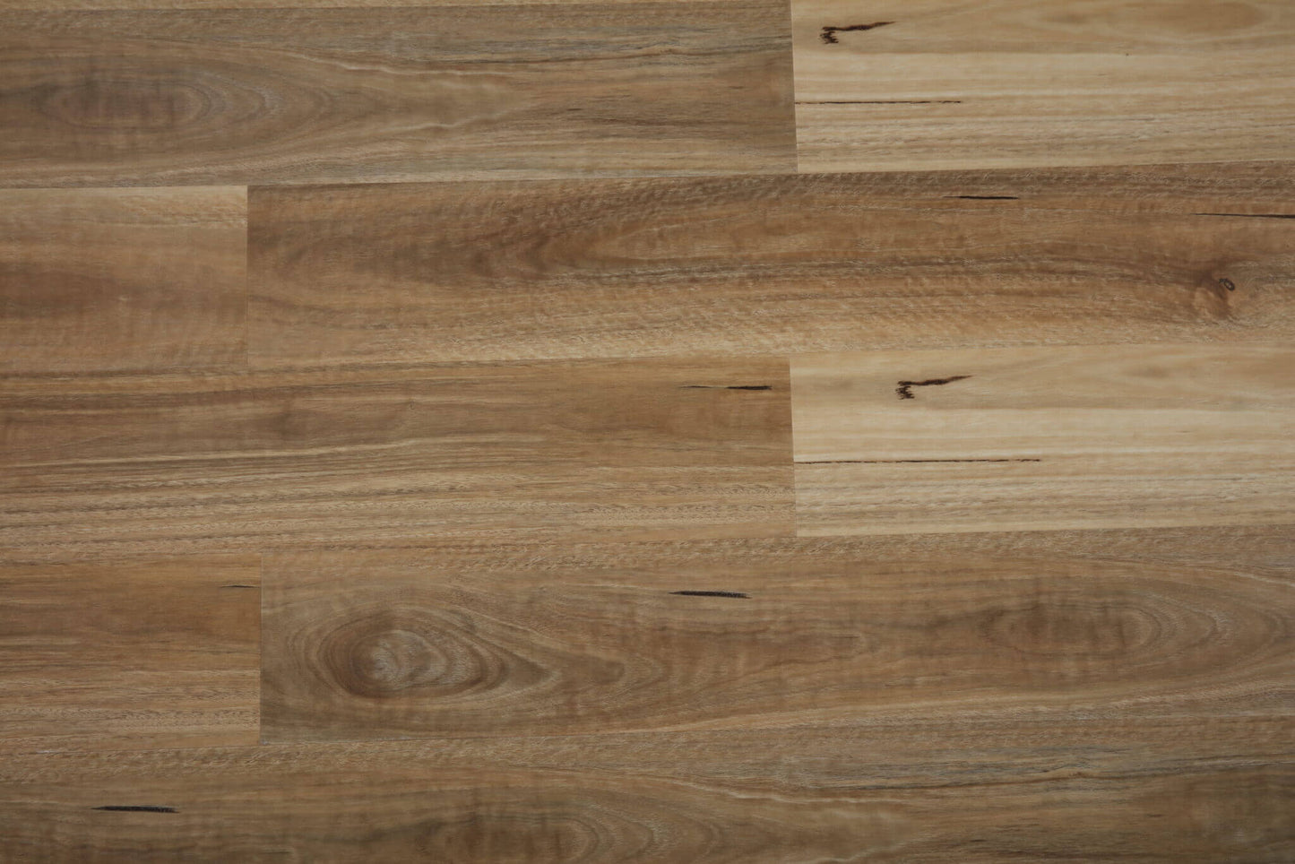 Supacore Hybrid Spc - Spotted Gum