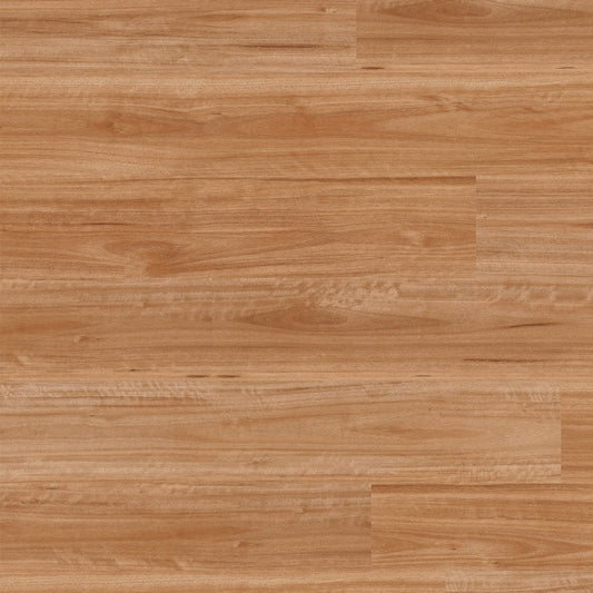 Terralux Hybrid Pro - Golden Blackbutt