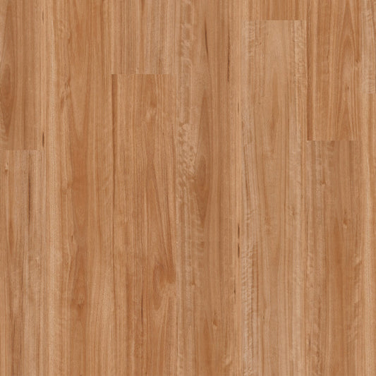 Titan Hybrid - Blackbutt