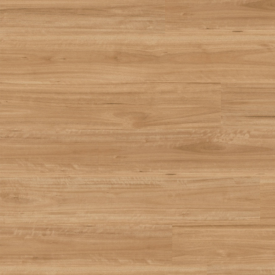 Terralux Hybrid Pro - Sunwashed Blackbutt