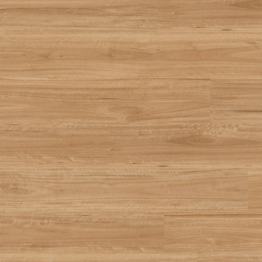 Terralux Hybrid Pro - Sunwashed Blackbutt