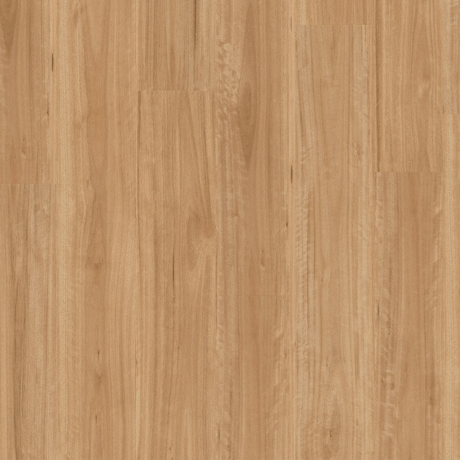 Titan Hybrid - Bleached Blackbutt