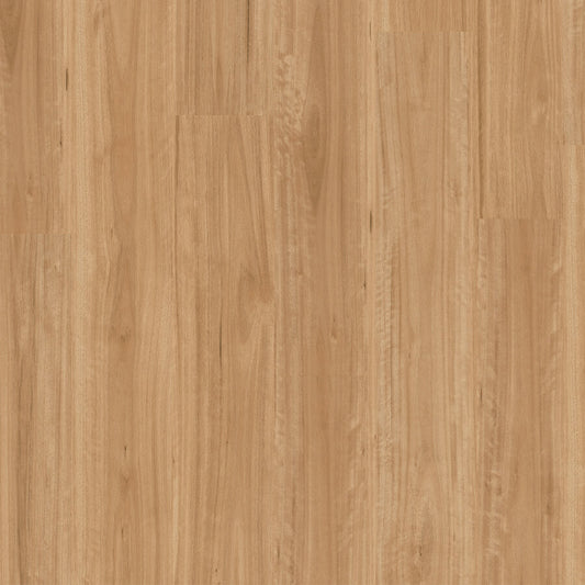 Titan Hybrid - Bleached Blackbutt