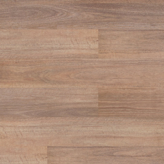 Terralux Hybrid - Forest Spotted Gum