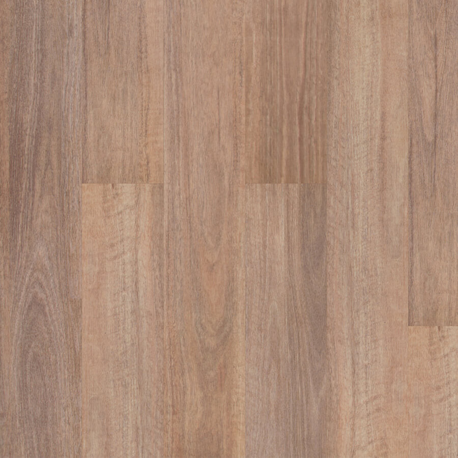 Titan Hybrid Home - Natural Spotted Gum