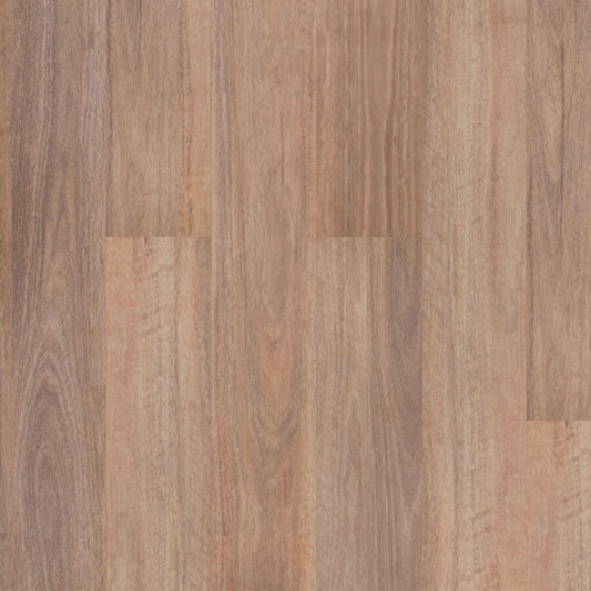 Titan Hybrid Home - Natural Spotted Gum