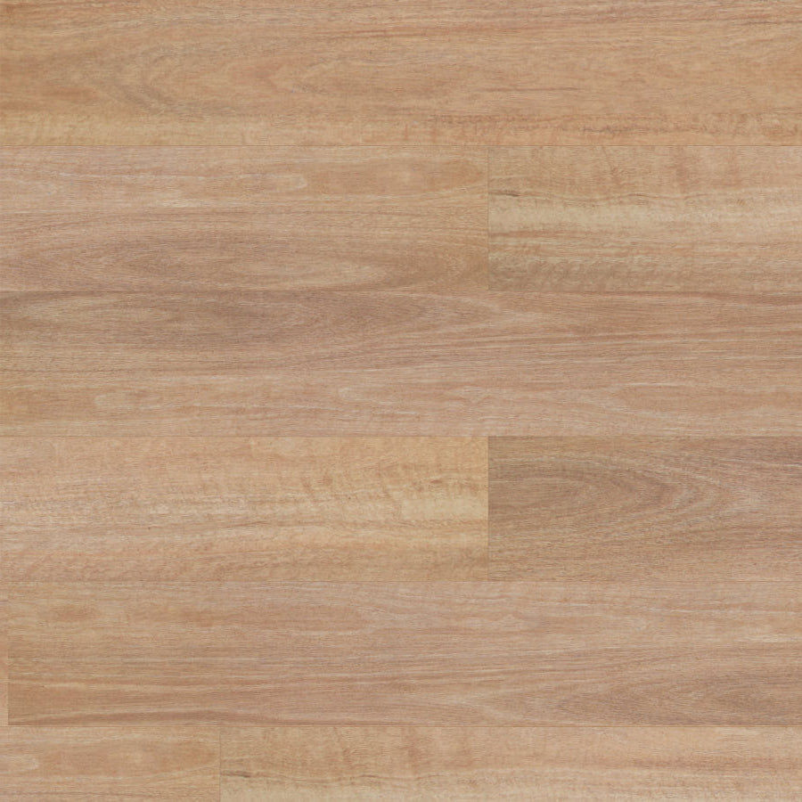 Terralux Hybrid - Silversand Spotted Gum