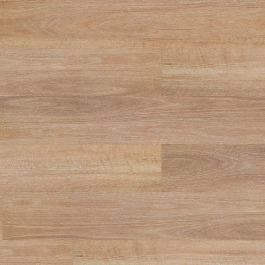 Terralux Hybrid - Silversand Spotted Gum