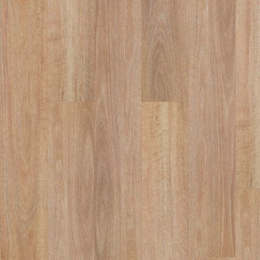 Titan Hybrid Home - Pale Spotted Gum