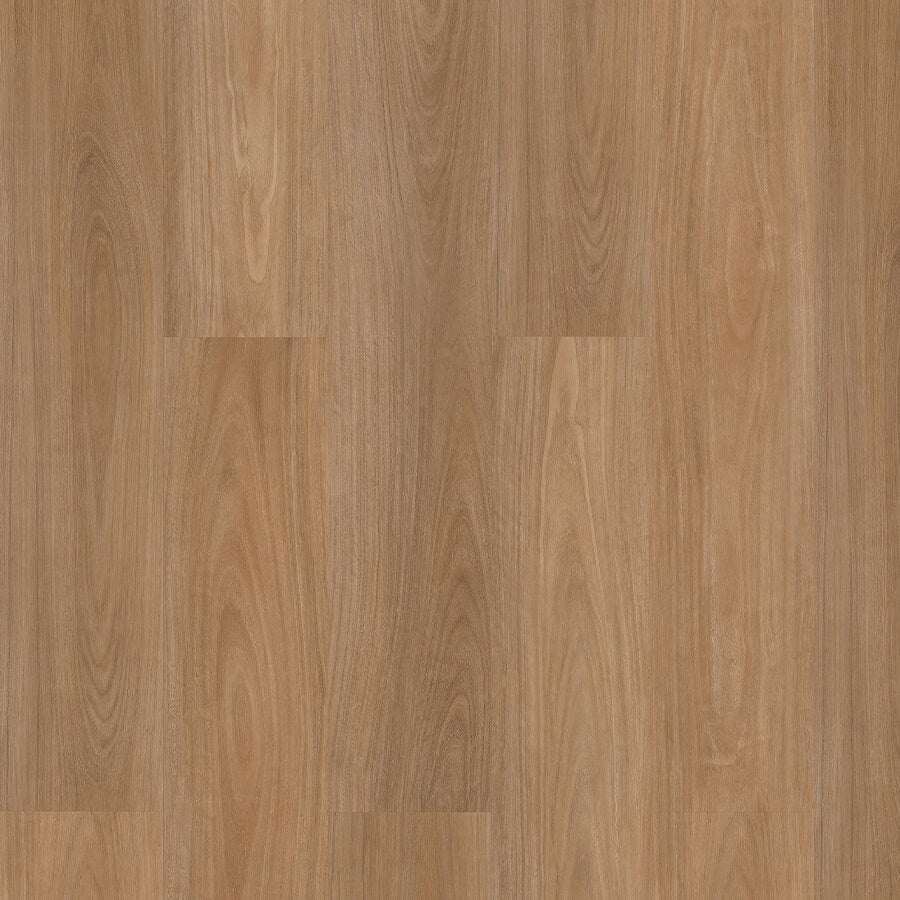 Titan Hybrid Home - Tidal Blackbutt
