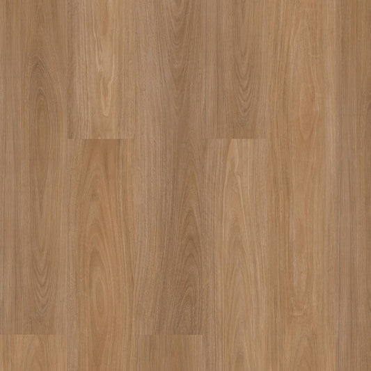 Titan Hybrid Home - Tidal Blackbutt