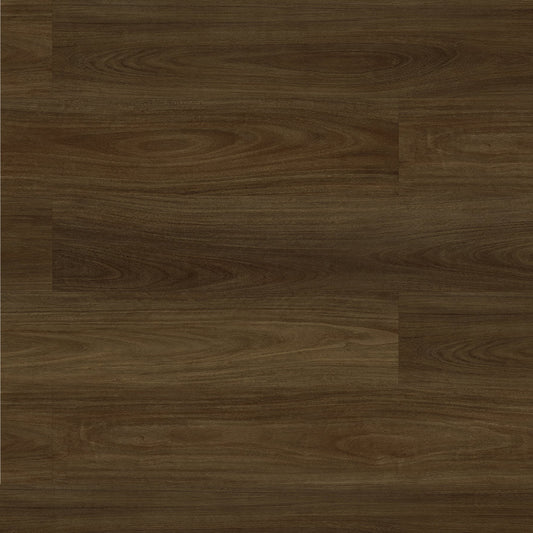 Terralux Hybrid - Amber Ridge Blackbutt