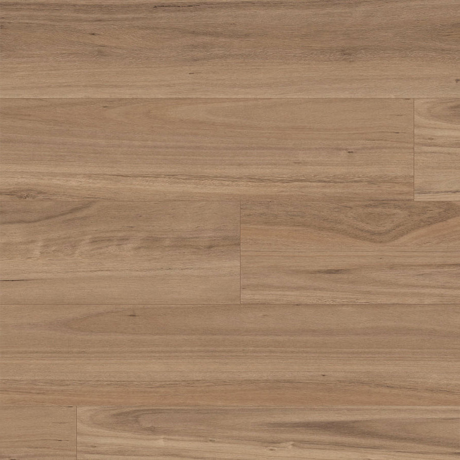 Terralux Hybrid Grande - Blackbutt Reserve
