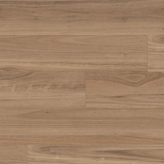 Terralux Hybrid Grande - Blackbutt Reserve