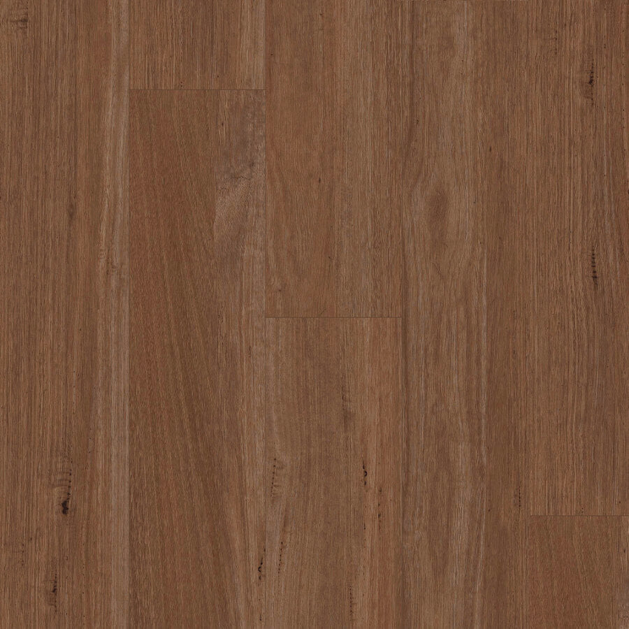 Titan Hybrid XXL - Brush Box