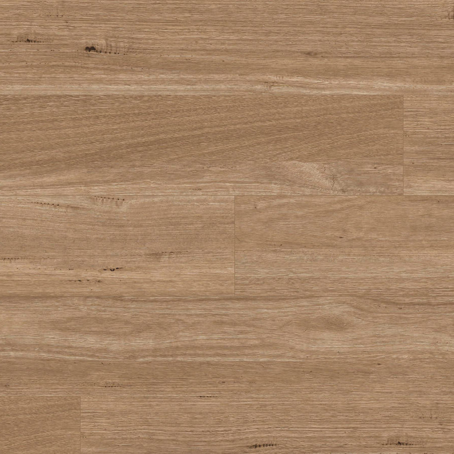 Terralux Hybrid Grande - Classic Tasmanian Oak