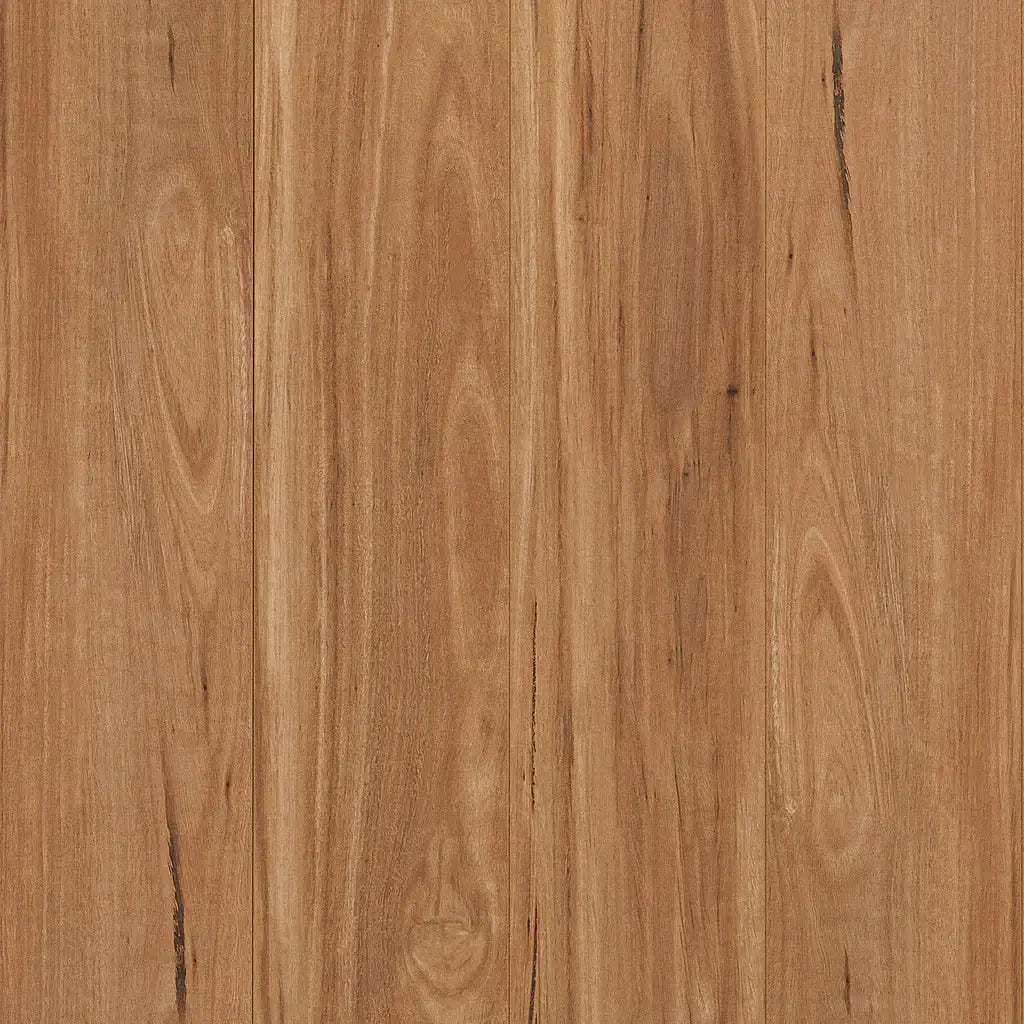 Embelton 12mm Laminate - Yarra Blackbutt