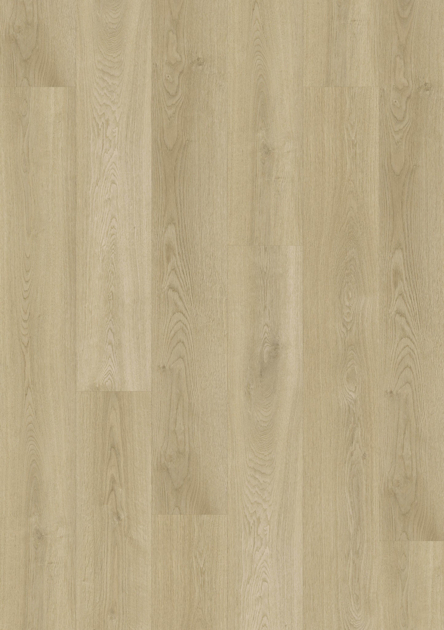 Titan Hybrid - Snow Gum Oak