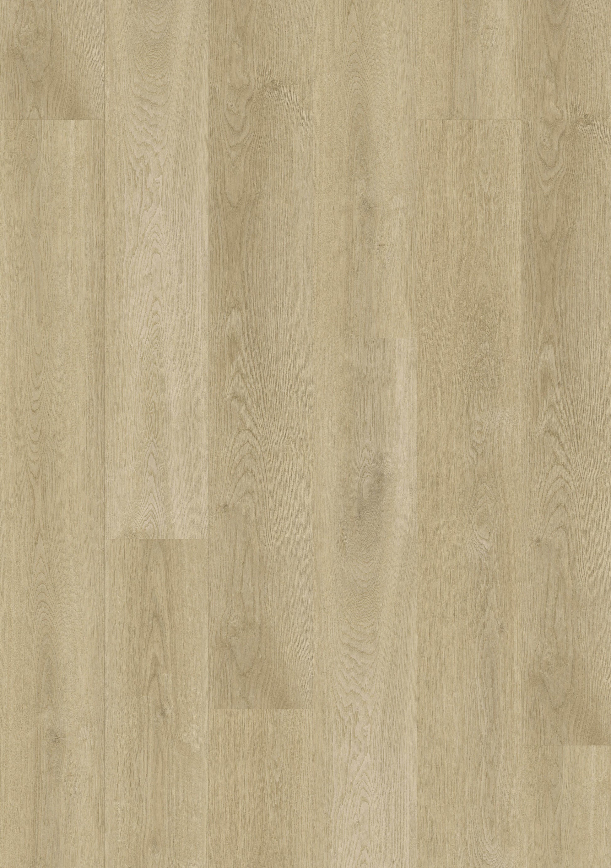 Titan Hybrid - Snow Gum Oak