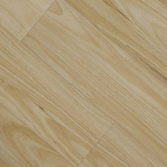 Vista - Alpine Blackbutt