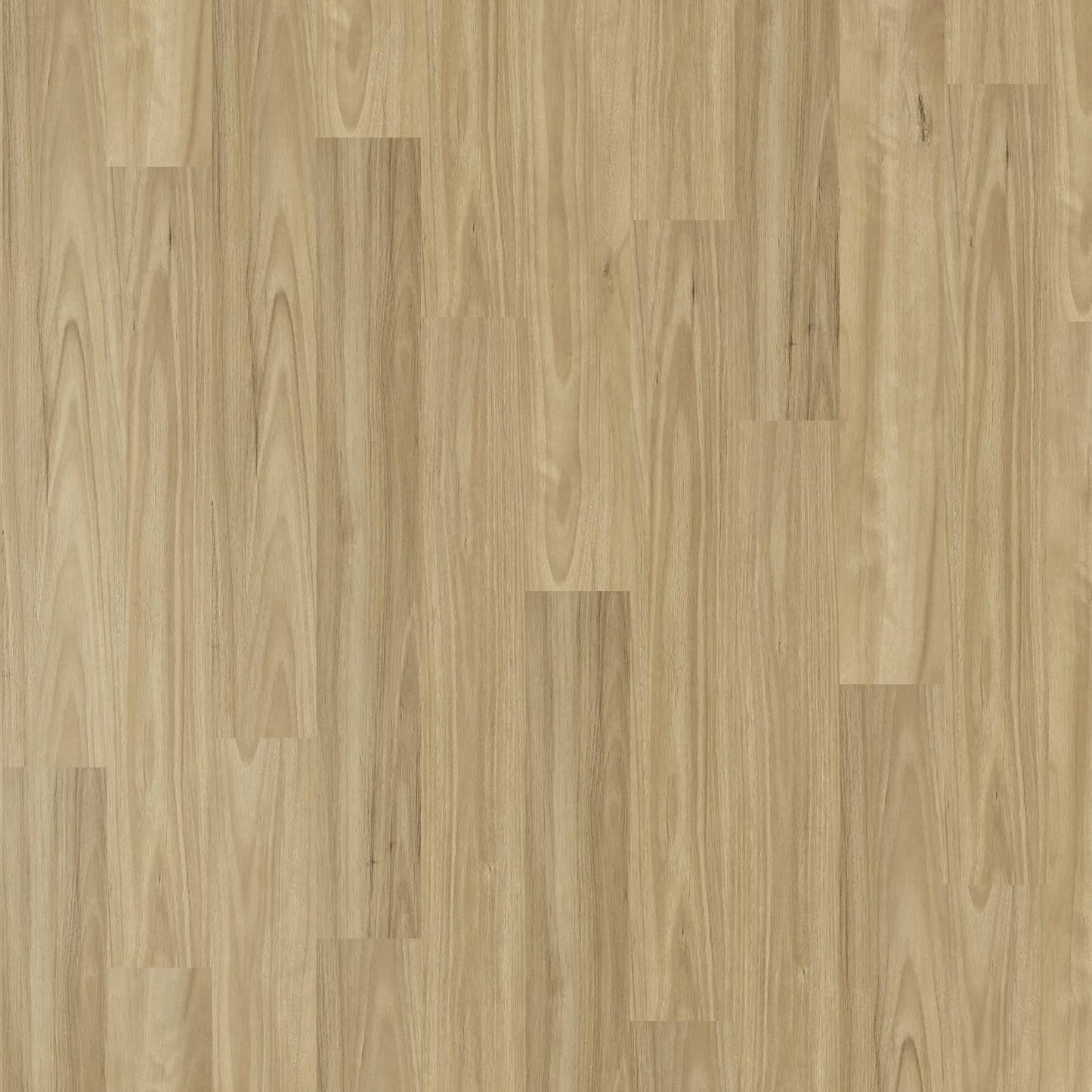 Vista 1500 - Alpine Blackbutt