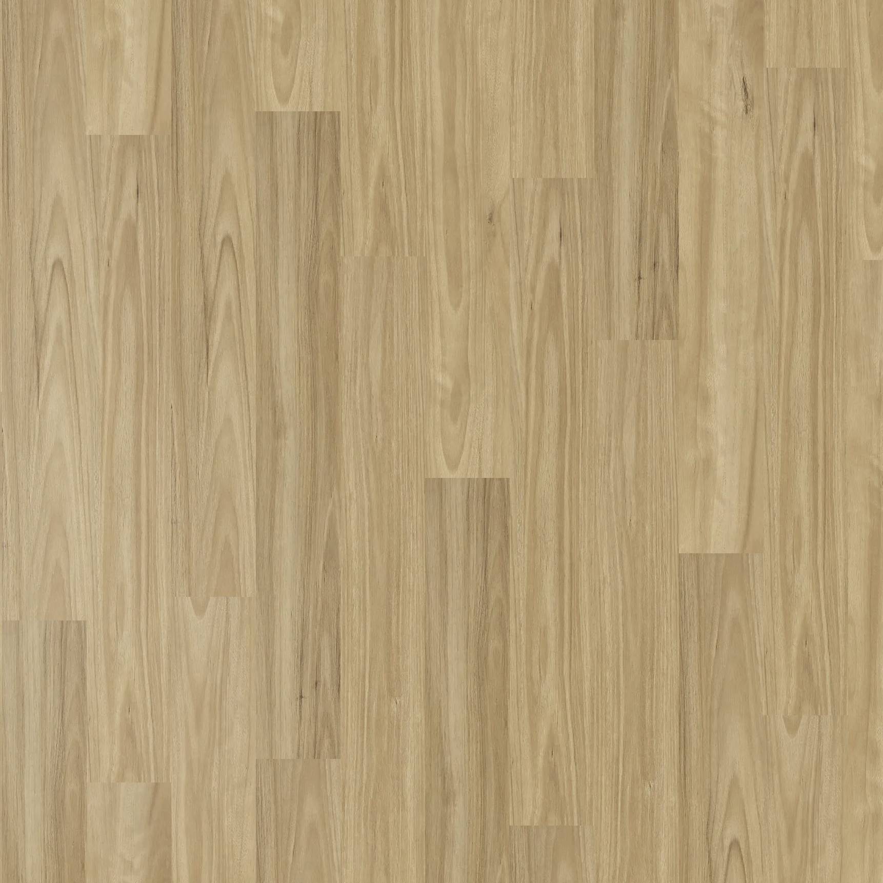 Vista 1500 - Alpine Blackbutt