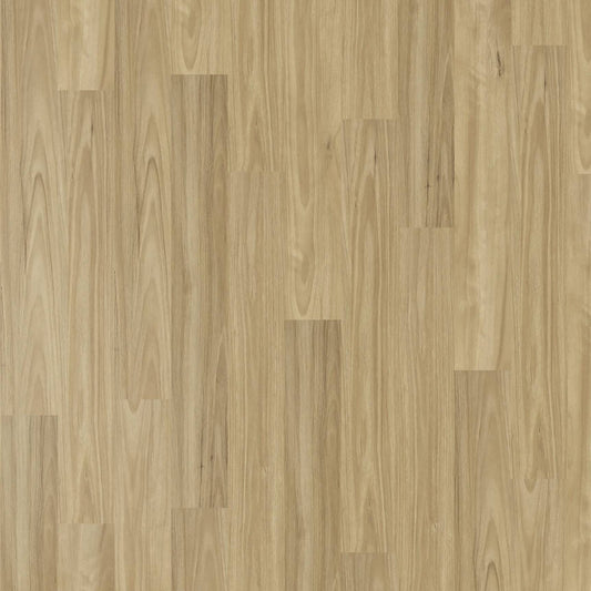 Vista 1500 - Alpine Blackbutt