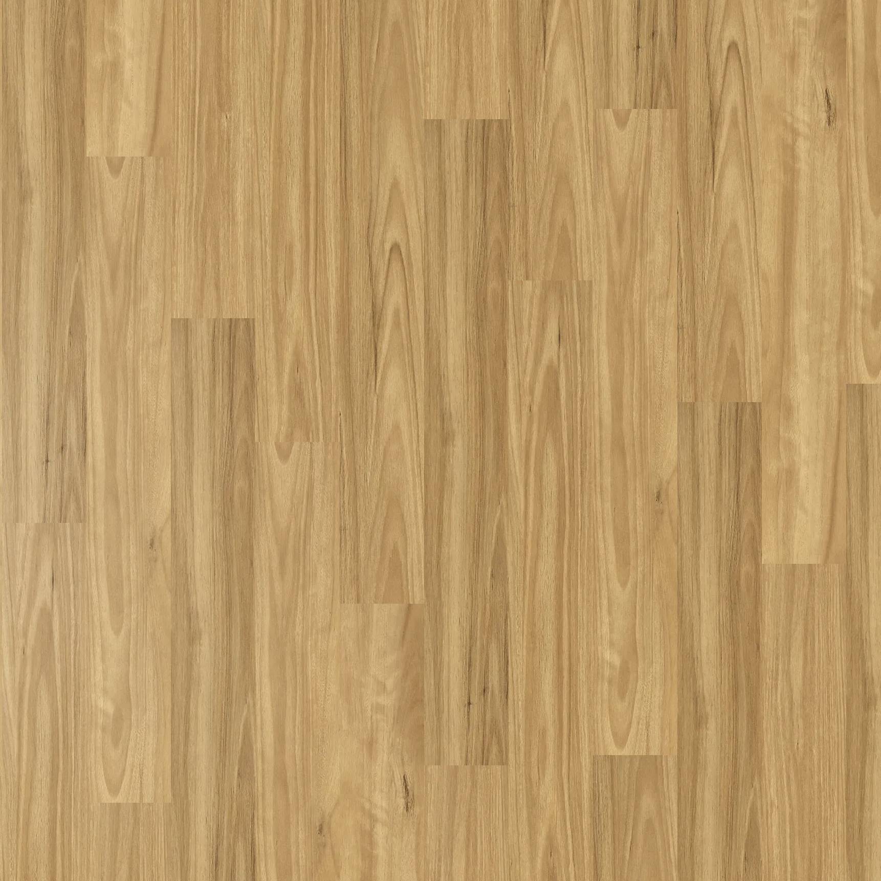 Vista 1500 - Blackbutt