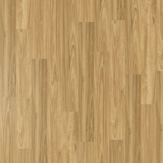 Vista 1500 - Blackbutt