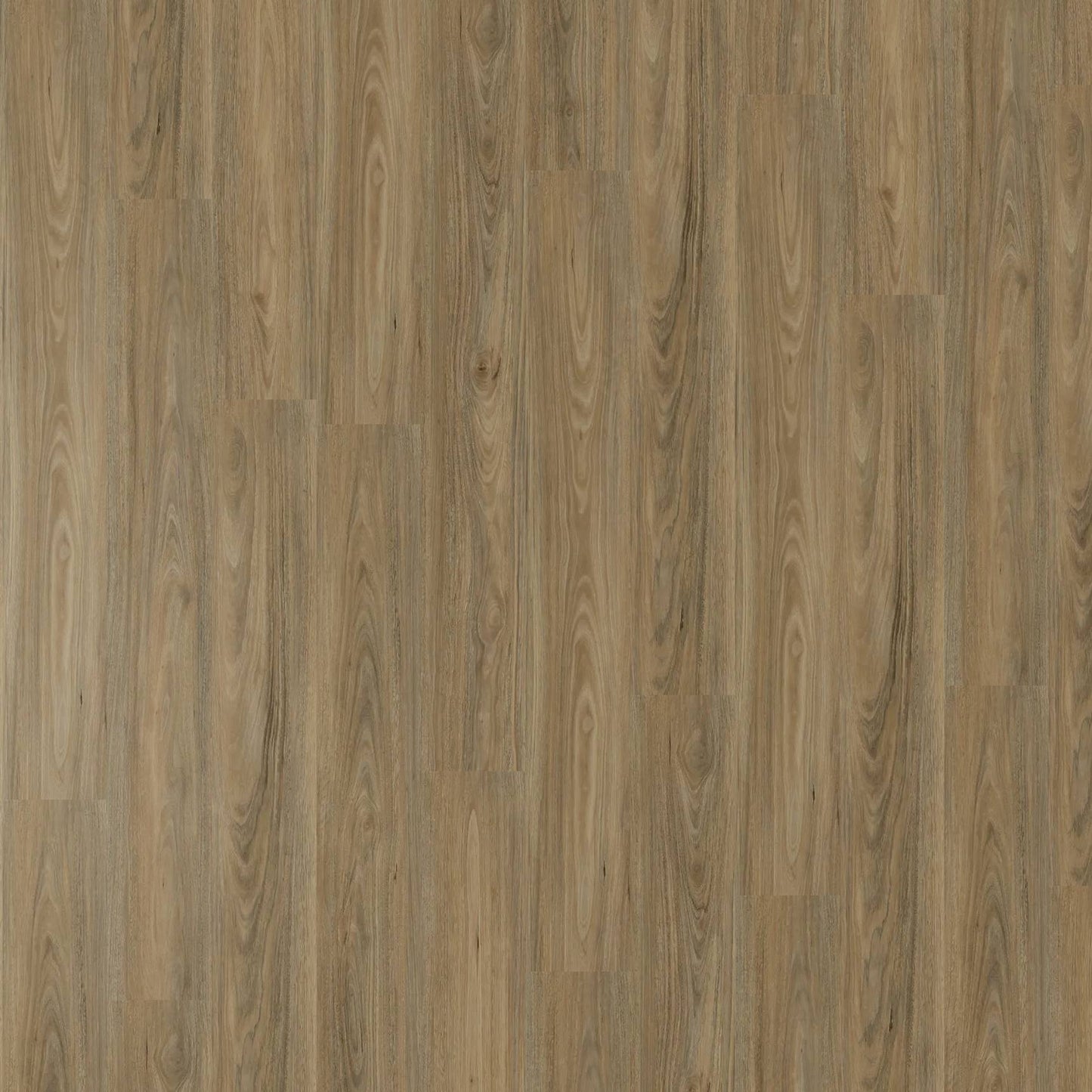 Vista 1500 - Mallee Gum