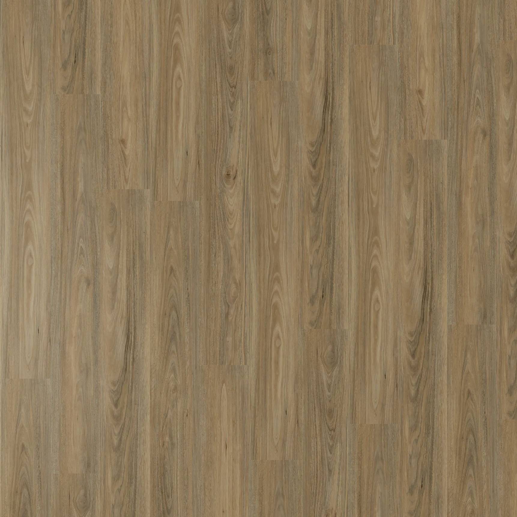 Vista 1500 - Mallee Gum