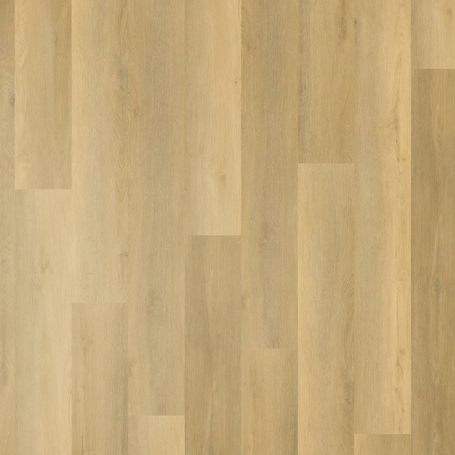 Zenith 1800 Hybrid - Aurora Pine