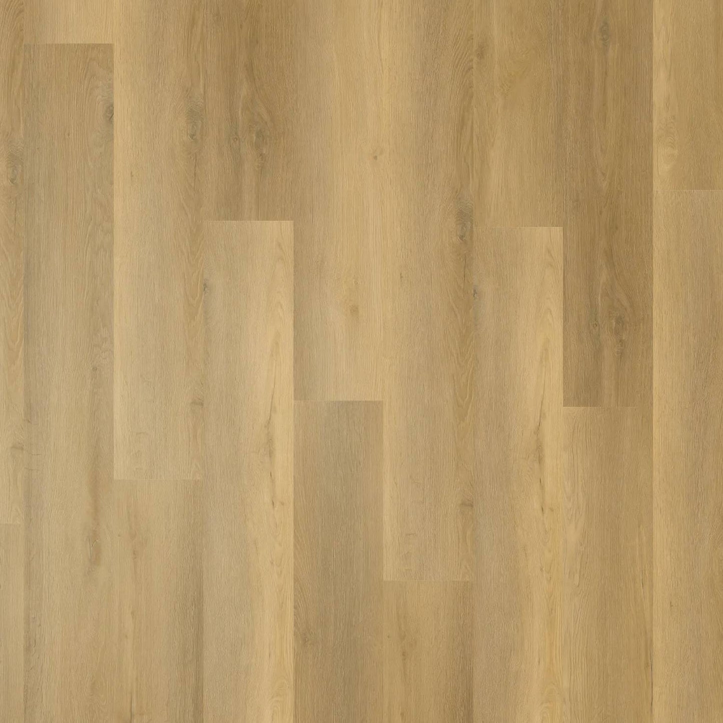 Zenith 1800 Hybrid - Celestial Driftwood