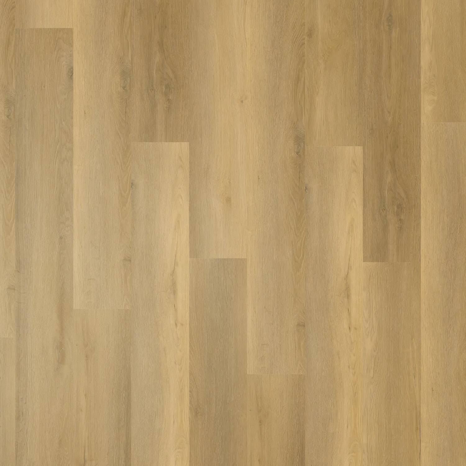 Zenith 1800 Hybrid - Celestial Driftwood