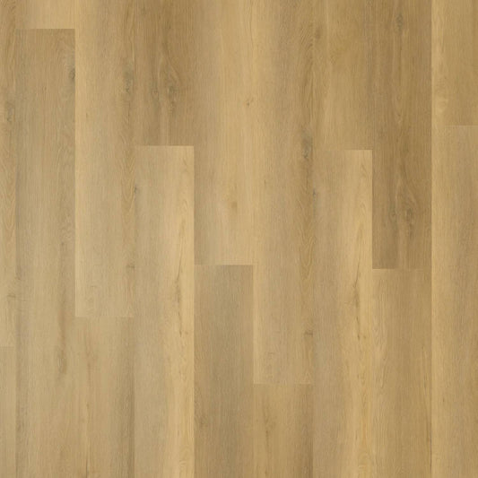 Zenith 1800 Hybrid - Celestial Driftwood